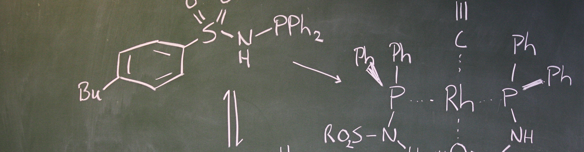 Unique ligand library for catalysis - METAMorPhos ligands - hydrogeantion catalysis