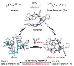 Effector controled catalysis, collaboration InCatT / UvA